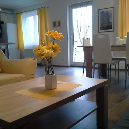 Rodinny Apartman Lucie V Blizkosti Wellness Hotelu Ve Frymburku Екстериор снимка