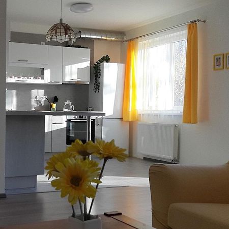 Rodinny Apartman Lucie V Blizkosti Wellness Hotelu Ve Frymburku Екстериор снимка