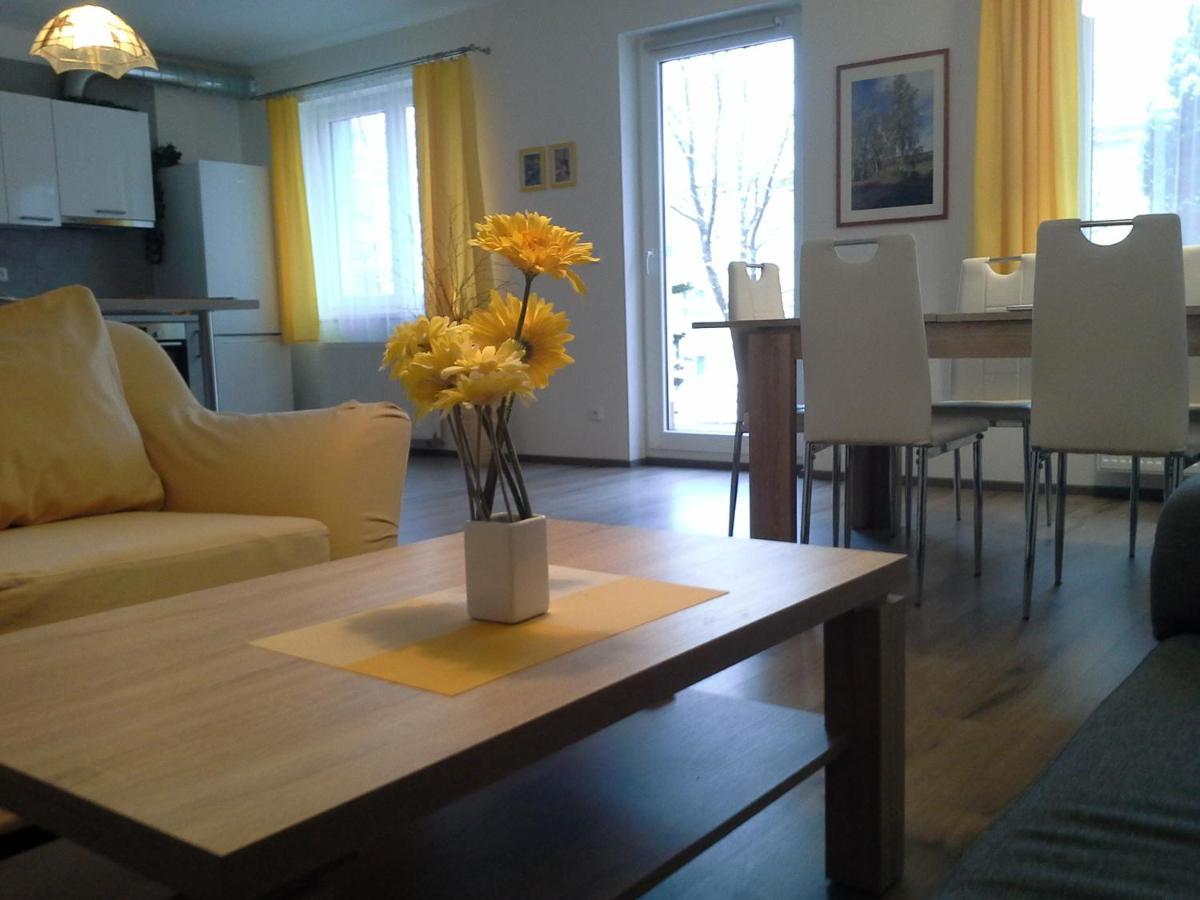 Rodinny Apartman Lucie V Blizkosti Wellness Hotelu Ve Frymburku Екстериор снимка