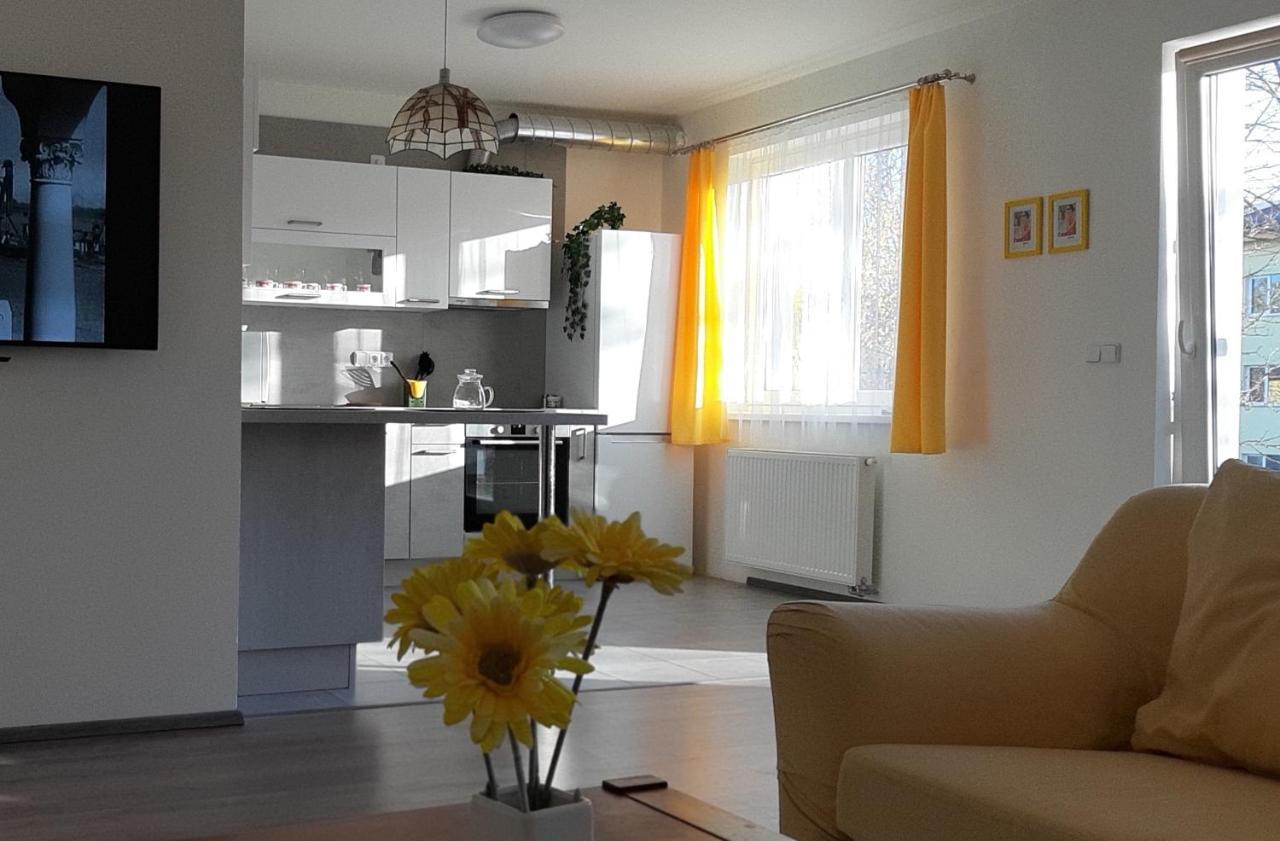 Rodinny Apartman Lucie V Blizkosti Wellness Hotelu Ve Frymburku Екстериор снимка