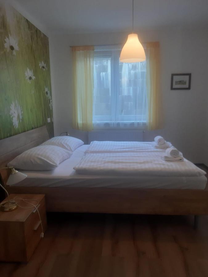 Rodinny Apartman Lucie V Blizkosti Wellness Hotelu Ve Frymburku Екстериор снимка